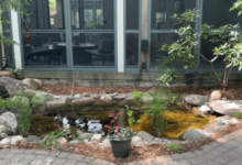 Koi Pond