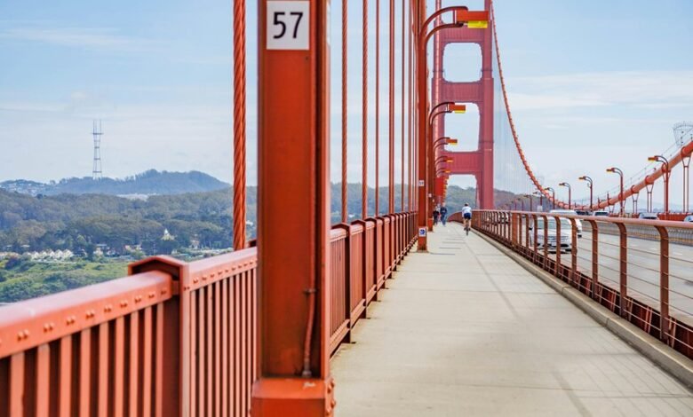 apex opportunity engine 913298393