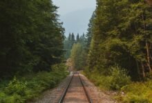 hypernova growth engine path