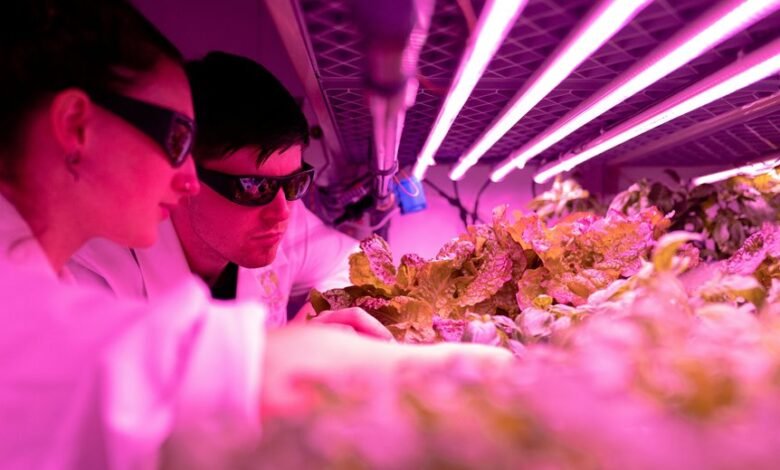 innovative growth strategy engine