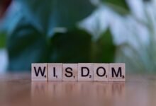 top reasons to learn 4703489379