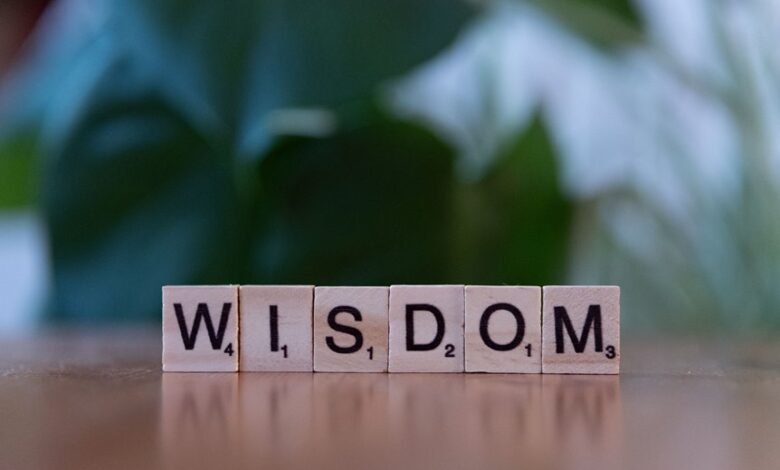 top reasons to learn ioprado25